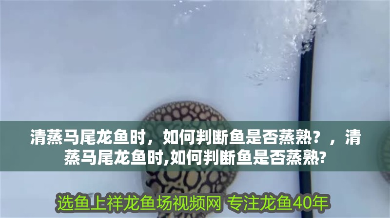 龍魚干蝦有營養嗎 清蒸馬尾龍魚時,如何判斷魚是否蒸熟?,清蒸馬尾龍魚時,如何判斷魚是否蒸熟? 龍魚百科 清蒸馬尾龍魚時,如何判斷魚是否蒸熟?,清蒸馬尾龍魚時,如何判斷魚是否蒸熟? 清蒸馬尾龍魚時,如何判斷魚是否蒸熟?,清蒸馬尾龍魚時,如何判斷魚是否蒸熟? 龍魚百科