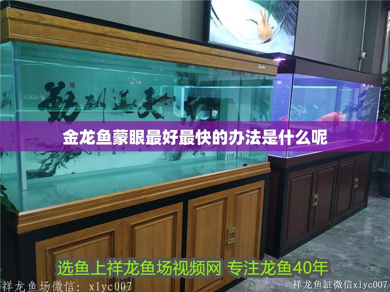 金龍魚蒙眼最好最快的辦法是什么呢