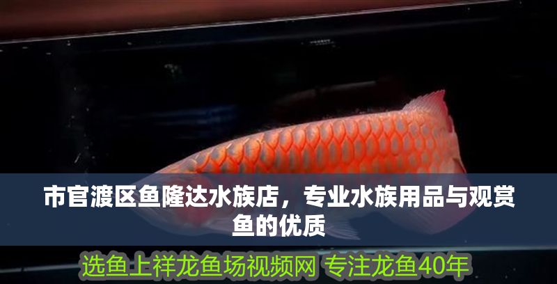 市官渡區(qū)魚隆達水族店，專業(yè)水族用品與觀賞魚的優(yōu)質(zhì)