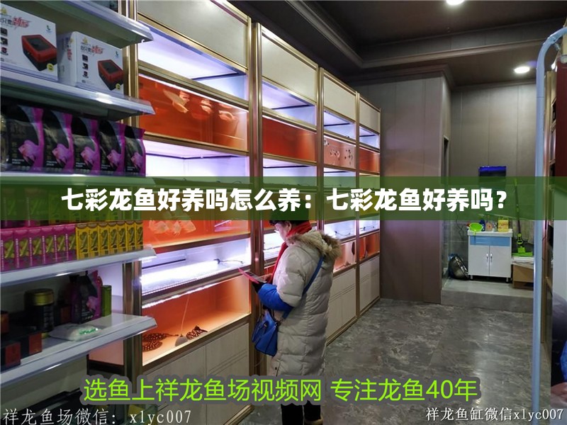 七彩龍魚好養嗎怎么養：七彩龍魚好養嗎？