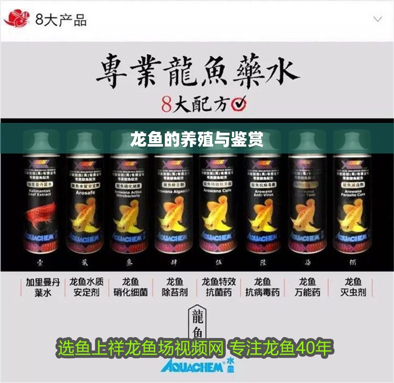 龍魚的養殖與鑒賞