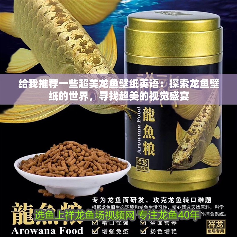 給我推薦一些超美龍魚壁紙英語：探索龍魚壁紙的世界，尋找超美的視覺盛宴