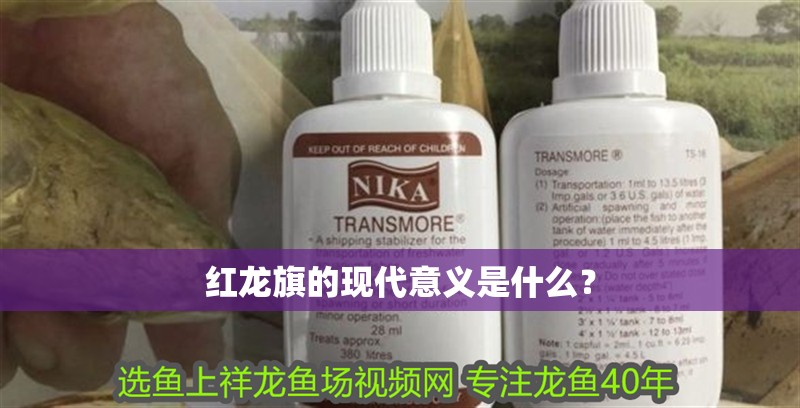 紅龍旗的現(xiàn)代意義是什么？