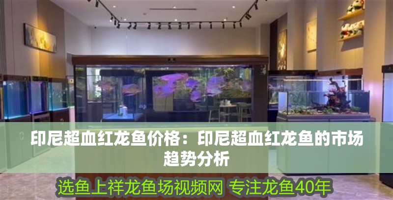 印尼超血紅龍魚價格：印尼超血紅龍魚的市場趨勢分析