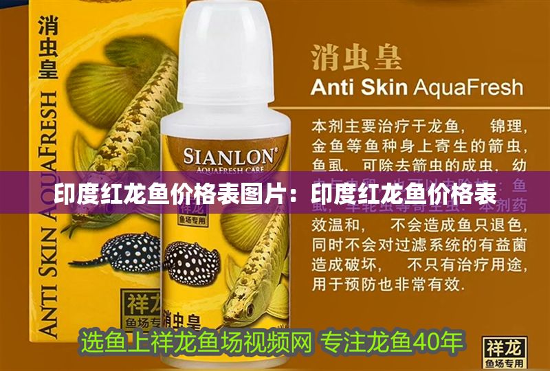 印度紅龍魚價格表圖片：印度紅龍魚價格表