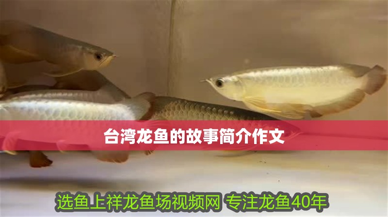 龍魚怕什么 臺灣龍魚的故事簡介作文 龍魚百科 臺灣龍魚的故事簡介作文 臺灣龍魚的故事簡介作文 龍魚百科