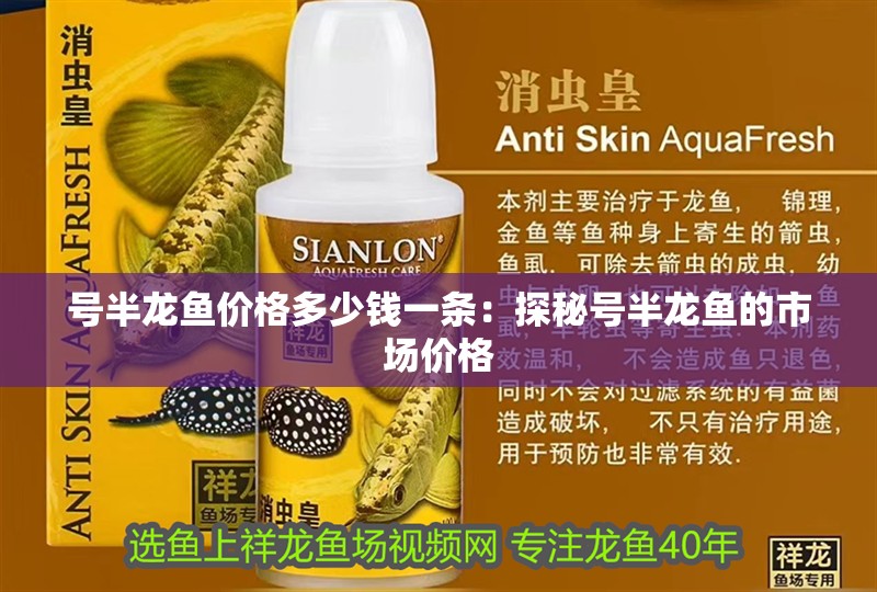 號半龍魚價格多少錢一條：探秘號半龍魚的市場價格
