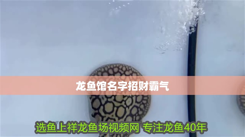 紅龍魚60厘米需要多少年壽命（紅龍魚的壽命多長時間能活多久紅龍魚的壽命是多少年）