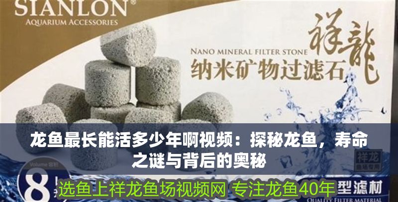 龍魚最長能活多少年啊視頻：探秘龍魚，壽命之謎與背后的奧秘