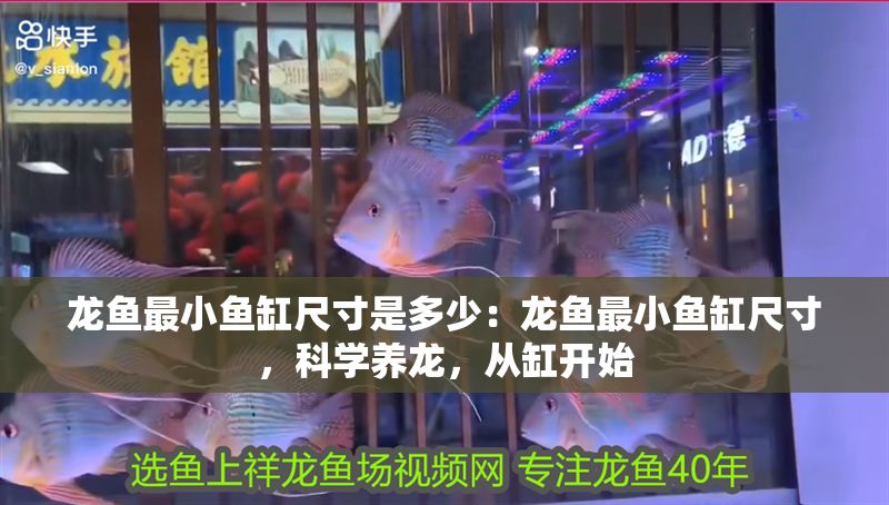 龍魚最小魚缸尺寸是多少：龍魚最小魚缸尺寸，科學養龍，從缸開始