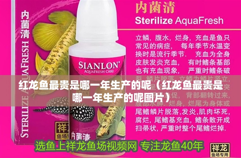 紅龍魚最貴是哪一年生產的呢（紅龍魚最貴是哪一年生產的呢圖片） 紅龍魚最貴是哪一年生產的呢（紅龍魚最貴是哪一年生產的呢圖片） 龍魚百科