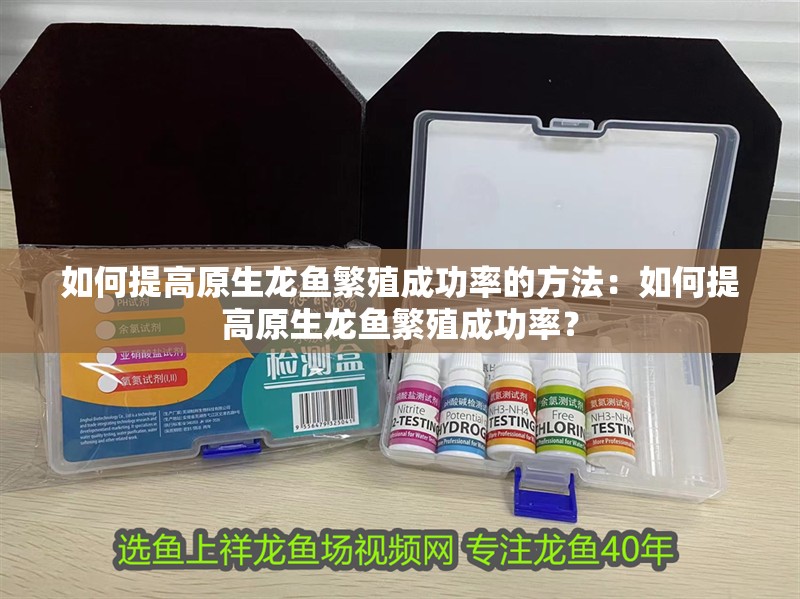 如何提高原生龍魚繁殖成功率的方法：如何提高原生龍魚繁殖成功率？