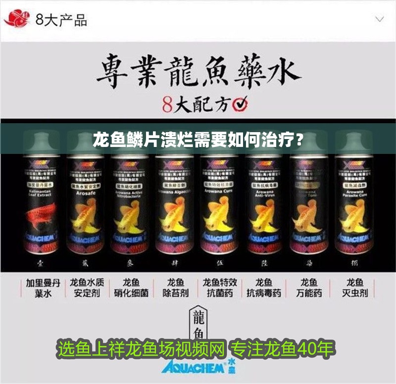 龍魚鱗片潰爛需要如何治療？