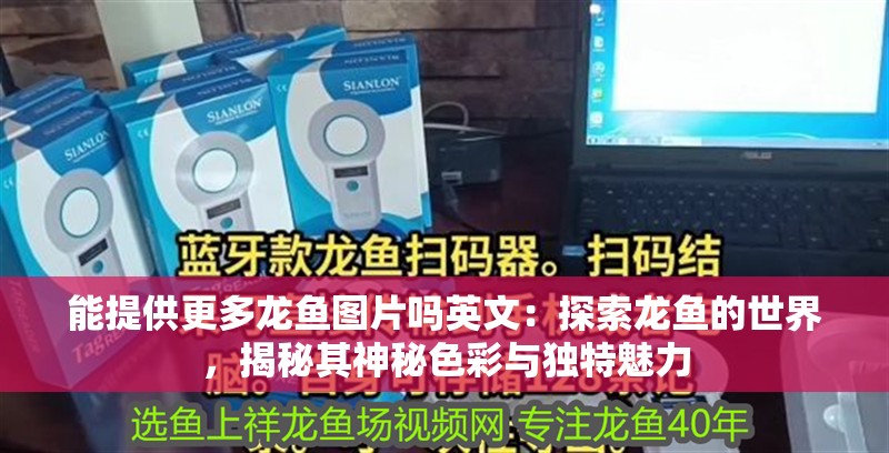 能提供更多龍魚圖片嗎英文：探索龍魚的世界，揭秘其神秘色彩與獨特魅力