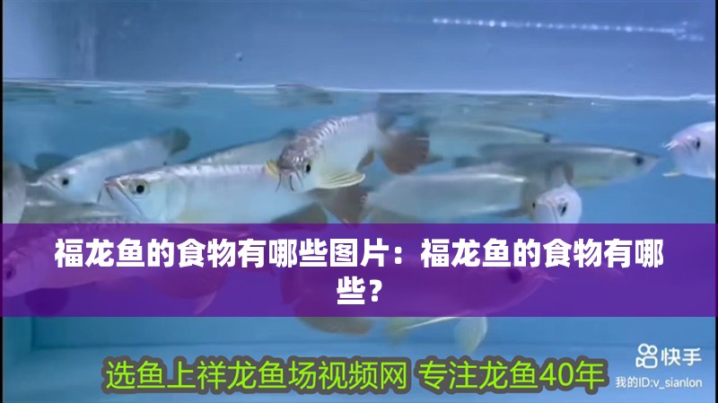 福龍魚的食物有哪些圖片：福龍魚的食物有哪些？