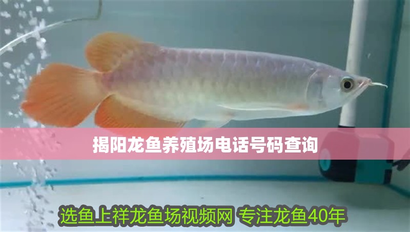 揭陽龍魚養殖場電話號碼查詢