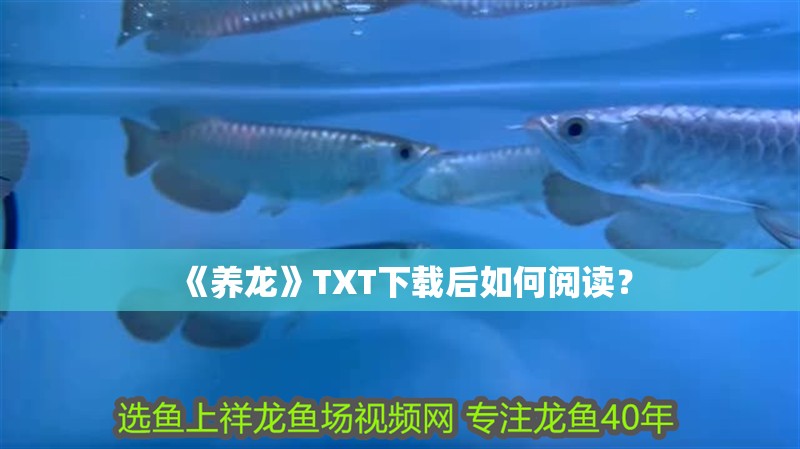 《養龍》TXT下載后如何閱讀？