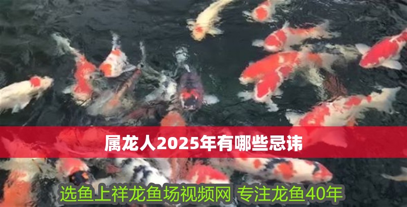屬龍人2025年有哪些忌諱