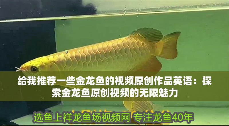 給我推薦一些金龍魚的視頻原創(chuàng)作品英語：探索金龍魚原創(chuàng)視頻的無限魅力