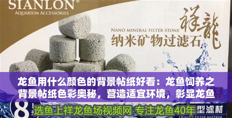 龍魚用什么顏色的背景帖紙好看：龍魚飼養之背景帖紙色彩奧秘，營造適宜環境，彰顯龍魚風采