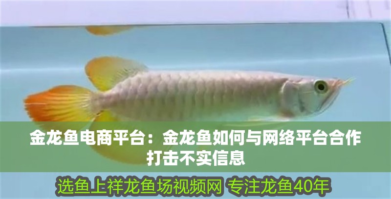 金龍魚電商平臺：金龍魚如何與網絡平臺<strong><mark>合作</mark></strong>打擊不實信息