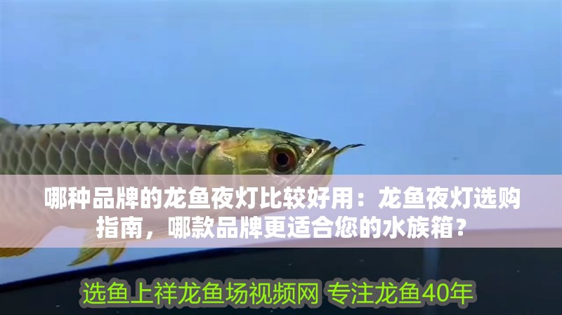 哪種品牌的龍魚夜燈比較好用：龍魚夜燈選購指南，哪款品牌更適合您的水族箱？