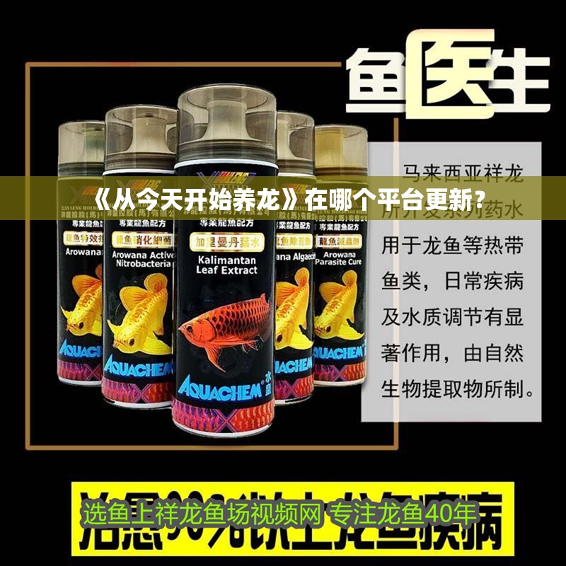 《從今天開始養龍》在哪個平臺更新？