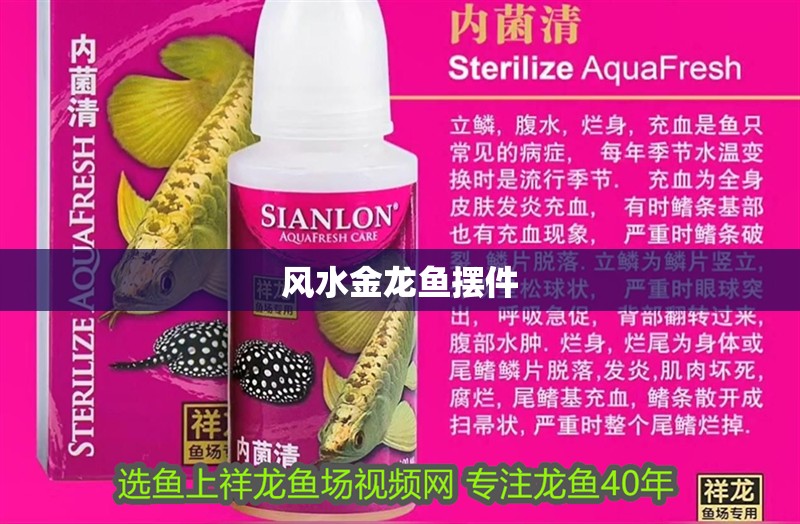 風(fēng)水金龍魚擺件