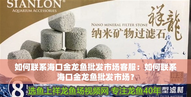 如何聯系海口金龍魚批發市場客服：如何聯系海口金龍魚批發市場？