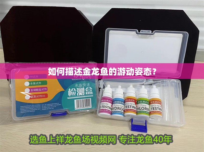 如何描述金龍魚的游動姿態(tài)？