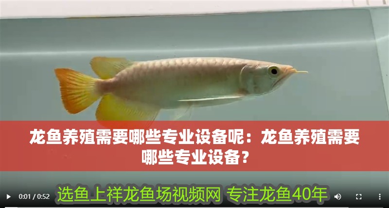 龍魚養(yǎng)殖需要哪些專業(yè)設備呢：龍魚養(yǎng)殖需要哪些專業(yè)設備？