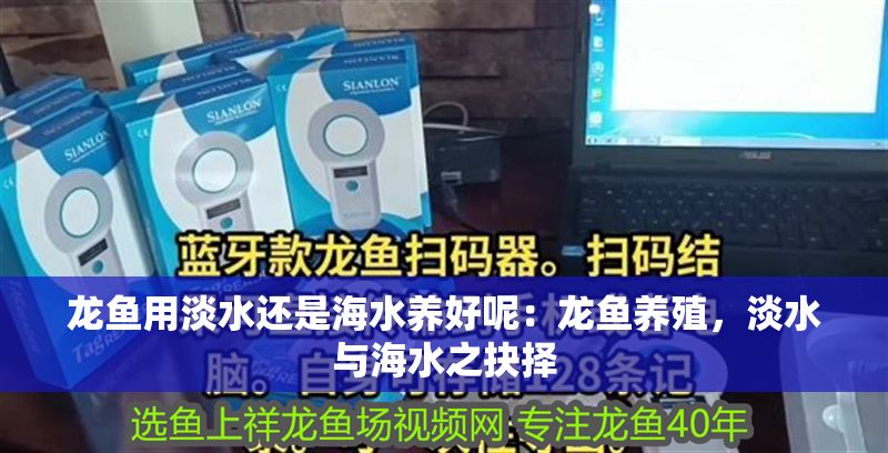 龍魚用淡水還是海水養(yǎng)好呢：龍魚養(yǎng)殖，淡水與海水之抉擇