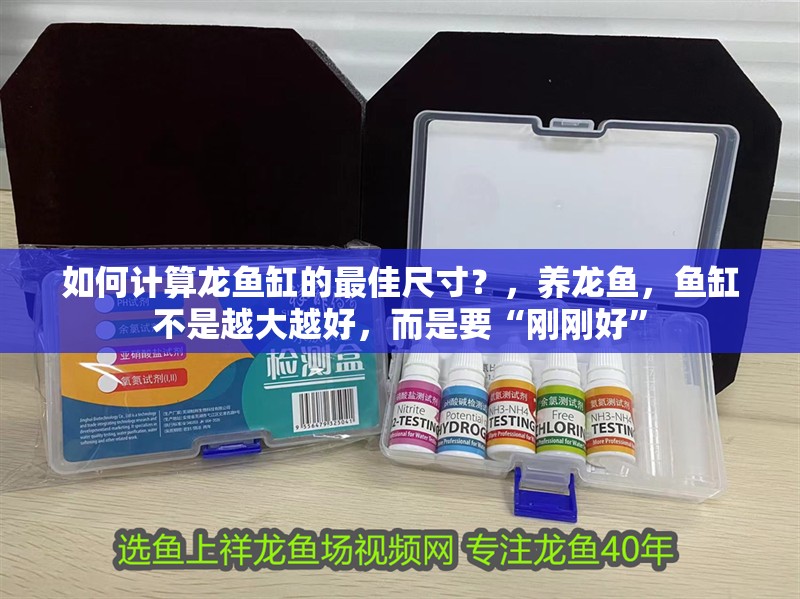 如何計算龍魚缸的最佳尺寸？，養龍魚，魚缸不是越大越好，而是要“剛剛好” 如何計算龍魚缸的最佳尺寸？，養龍魚，魚缸不是越大越好，而是要“剛剛好” 龍魚百科
