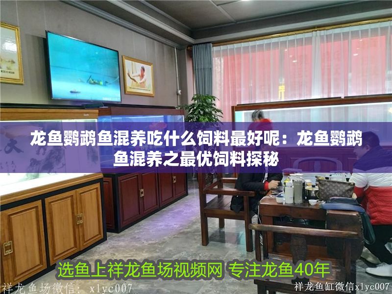 龍魚鸚鵡魚混養(yǎng)吃什么飼料最好呢：龍魚鸚鵡魚混養(yǎng)之最優(yōu)飼料探秘
