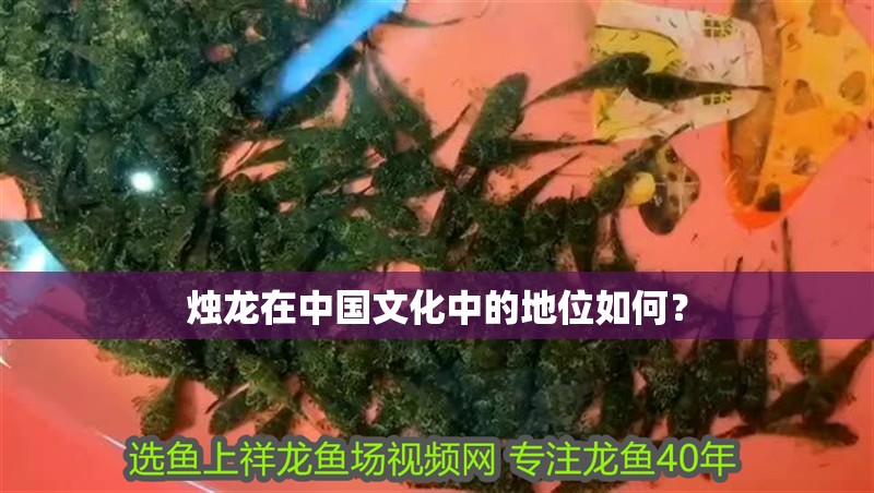 燭龍在中國文化中的地位如何？