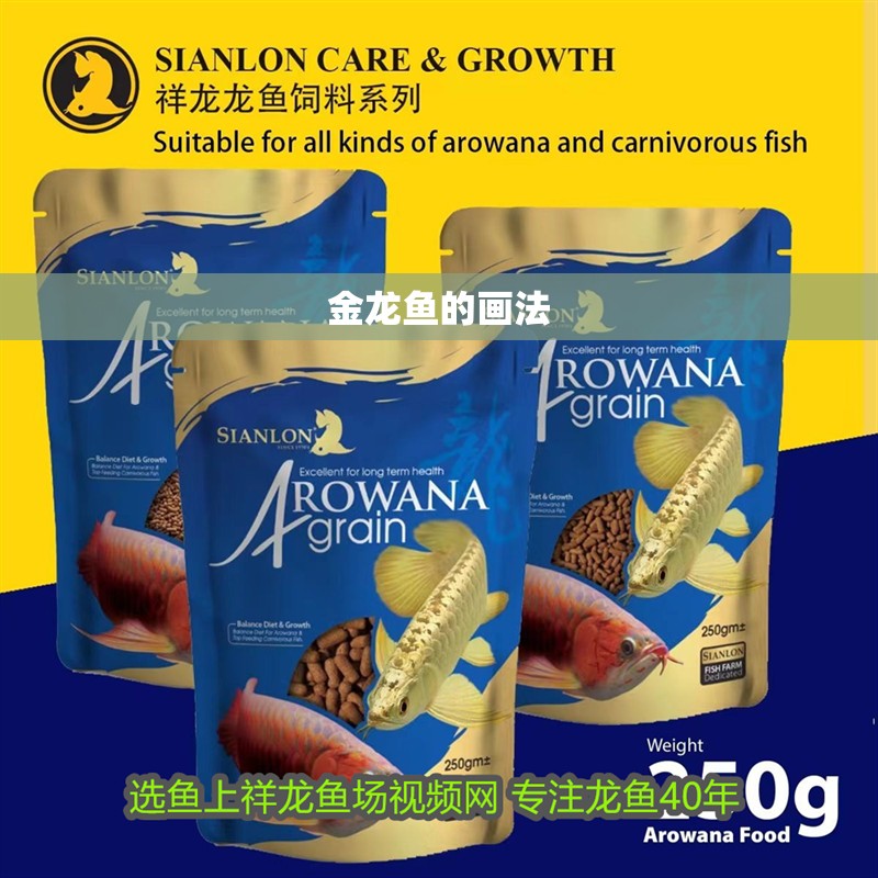 金龍魚的畫法