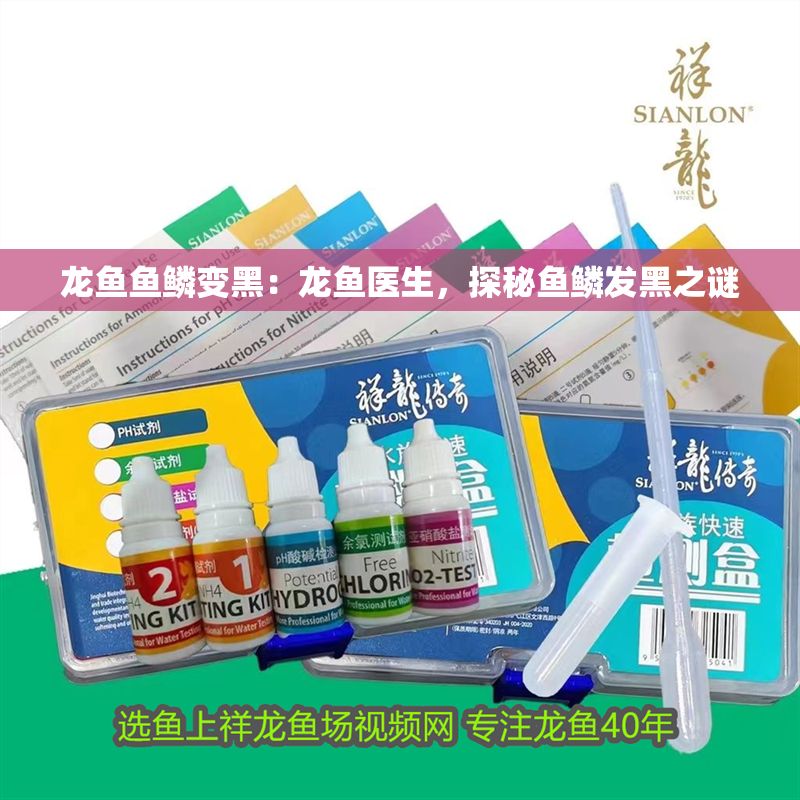 龍魚魚鱗變黑：龍魚醫生，探秘魚鱗發黑之謎 龍魚魚鱗變黑：龍魚醫生，探秘魚鱗發黑之謎 龍魚百科 第1張