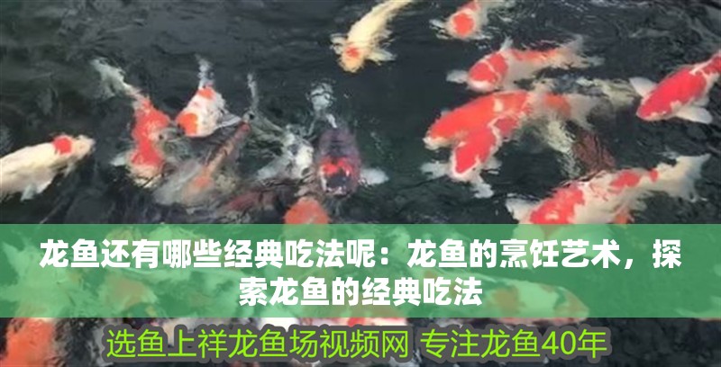 龍魚還有哪些經典吃法呢：龍魚的烹飪藝術，探索龍魚的經典吃法
