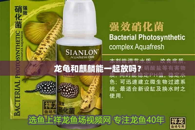 龍龜和<strong><mark>麒麟</mark></strong>能一起放嗎？