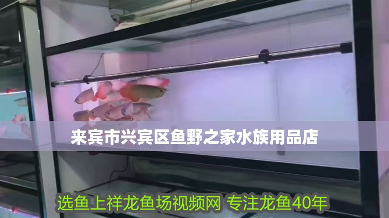 來(lái)賓市興賓區(qū)魚野之家水族用品店
