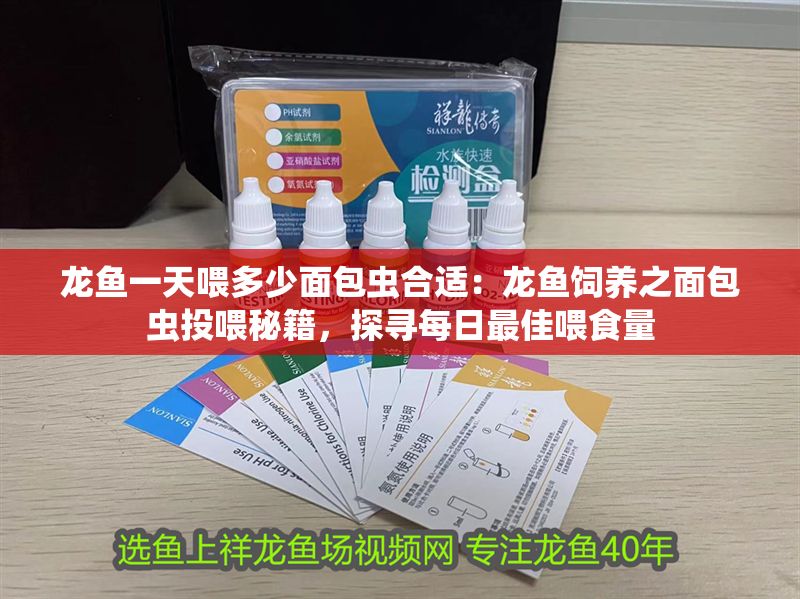 龍魚一天喂多少面包蟲合適：龍魚飼養(yǎng)之面包蟲投喂秘籍，探尋每日最佳喂食量