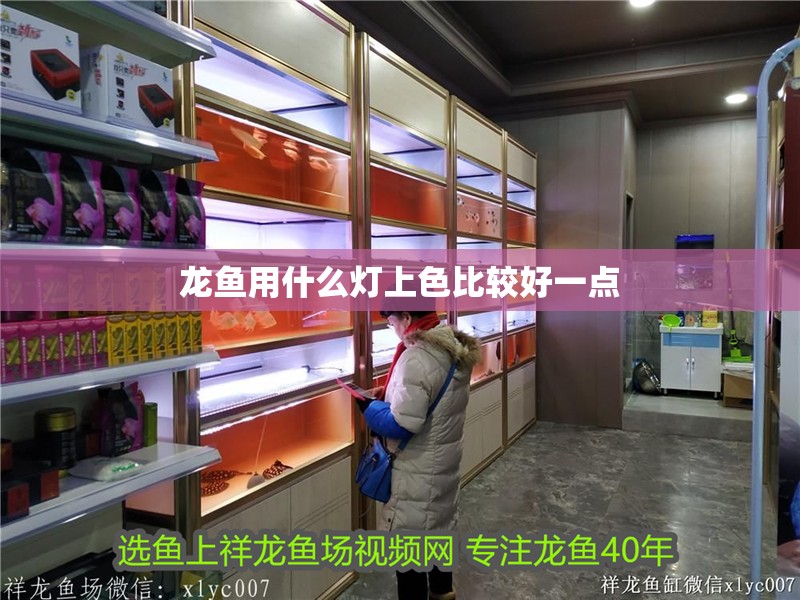 龍魚用什么燈上色比較好一點