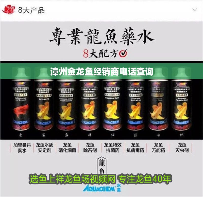 鸚鵡魚和銀龍魚混養怎樣喂食 魚缸造景基礎知識視頻(魚缸造景材料選擇指南) 龍魚百科 魚缸造景基礎知識視頻(魚缸造景材料選擇指南) 魚缸造景基礎知識視頻(魚缸造景材料選擇指南) 龍魚百科