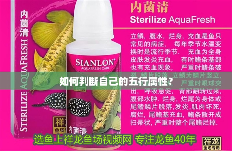 如何判斷自己的五行屬性？