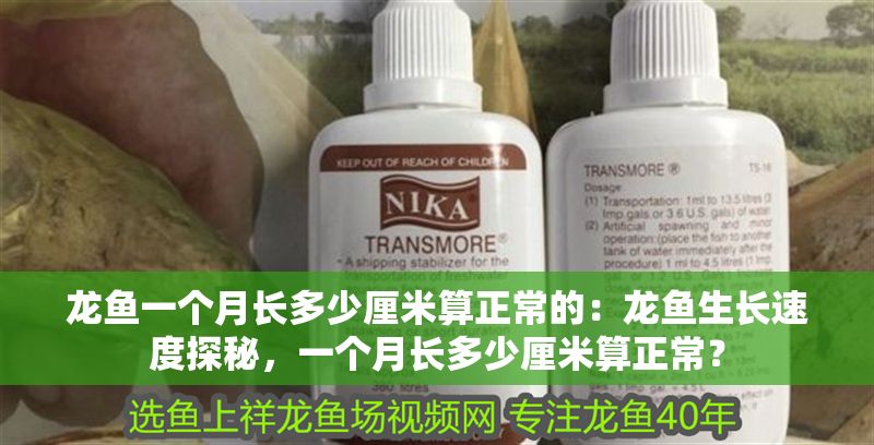 龍魚一個月長多少厘米算正常的：龍魚生長速度探秘，一個月長多少厘米算正常？ 龍魚一個月長多少厘米算正常的：龍魚生長速度探秘，一個月長多少厘米算正常？ 龍魚百科 第1張