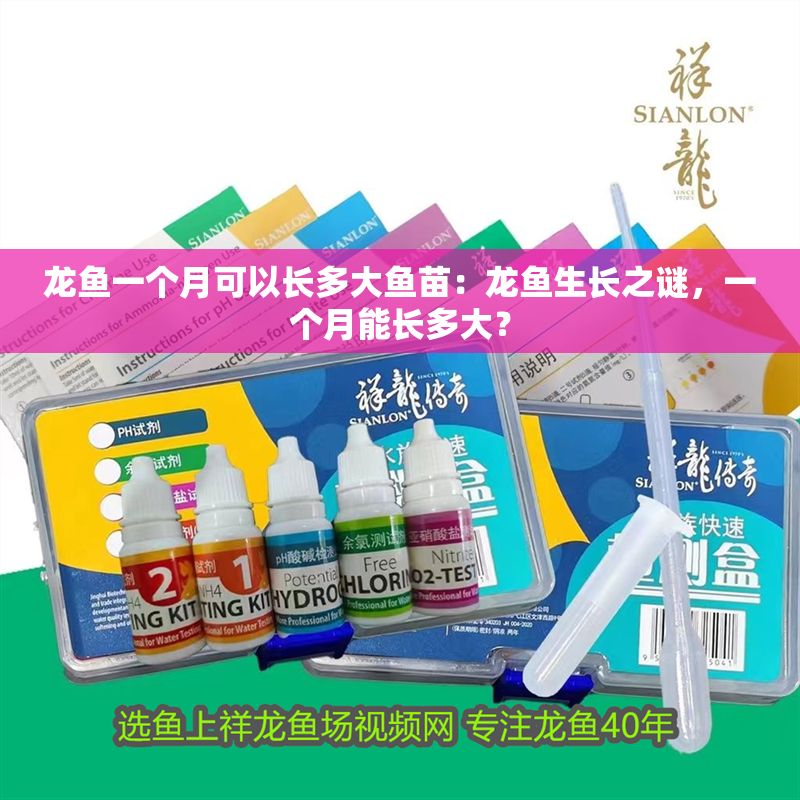 龍魚一個月可以長多大魚苗：龍魚生長之謎，一個月能長多大？