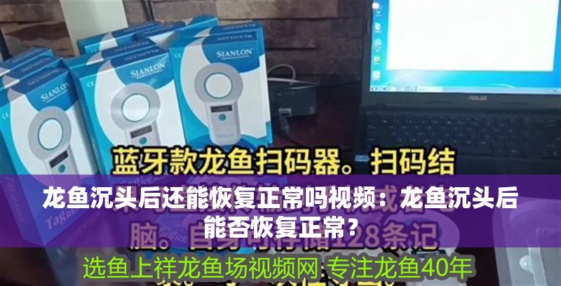 龍魚沉頭后還能恢復正常嗎視頻：龍魚沉頭后能否恢復正常？