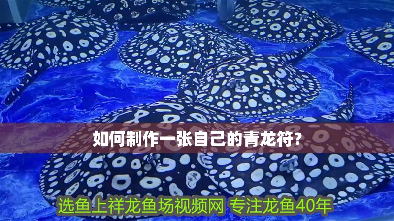 如何制作一張自己的青龍符？ 如何制作一張自己的青龍符？ 龍魚百科