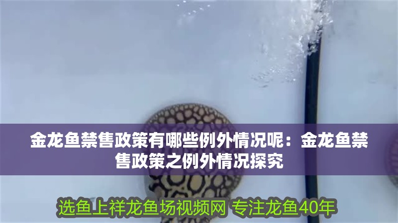 金龍魚禁售政策有哪些例外情況呢：金龍魚禁售政策之例外情況探究