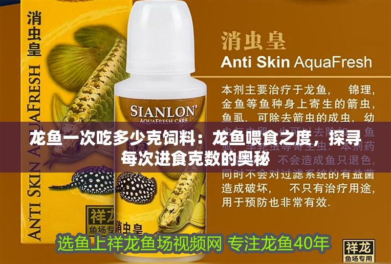龍魚一次吃多少克飼料：龍魚喂食之度，探尋每次進食克數的奧秘